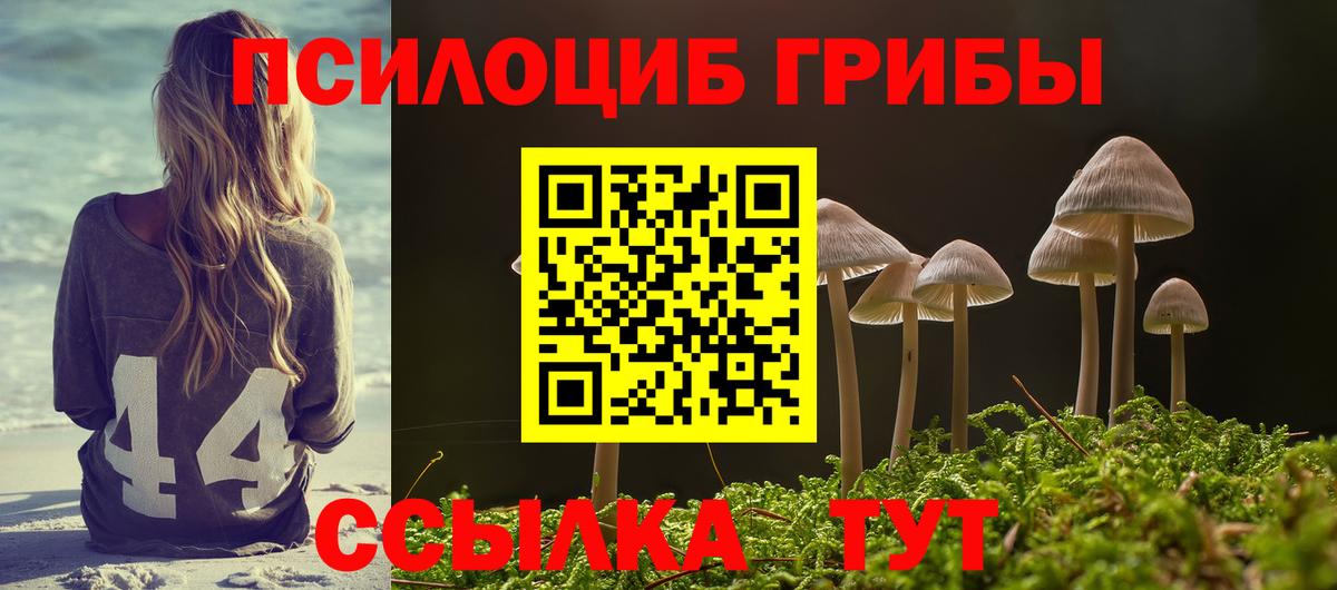 Галлюциногенные грибы Magic Shrooms  Псилоцибиновые грибы Cubensis  Вход с VPN  Шебекино 
